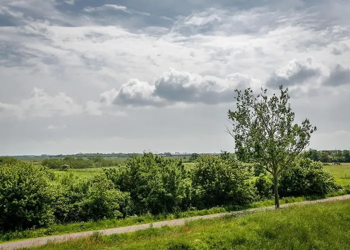 Haus-blum-schoene-ferienwohnung-in-absolut-ruhiger-lage-in-westerland * فيسترلاند